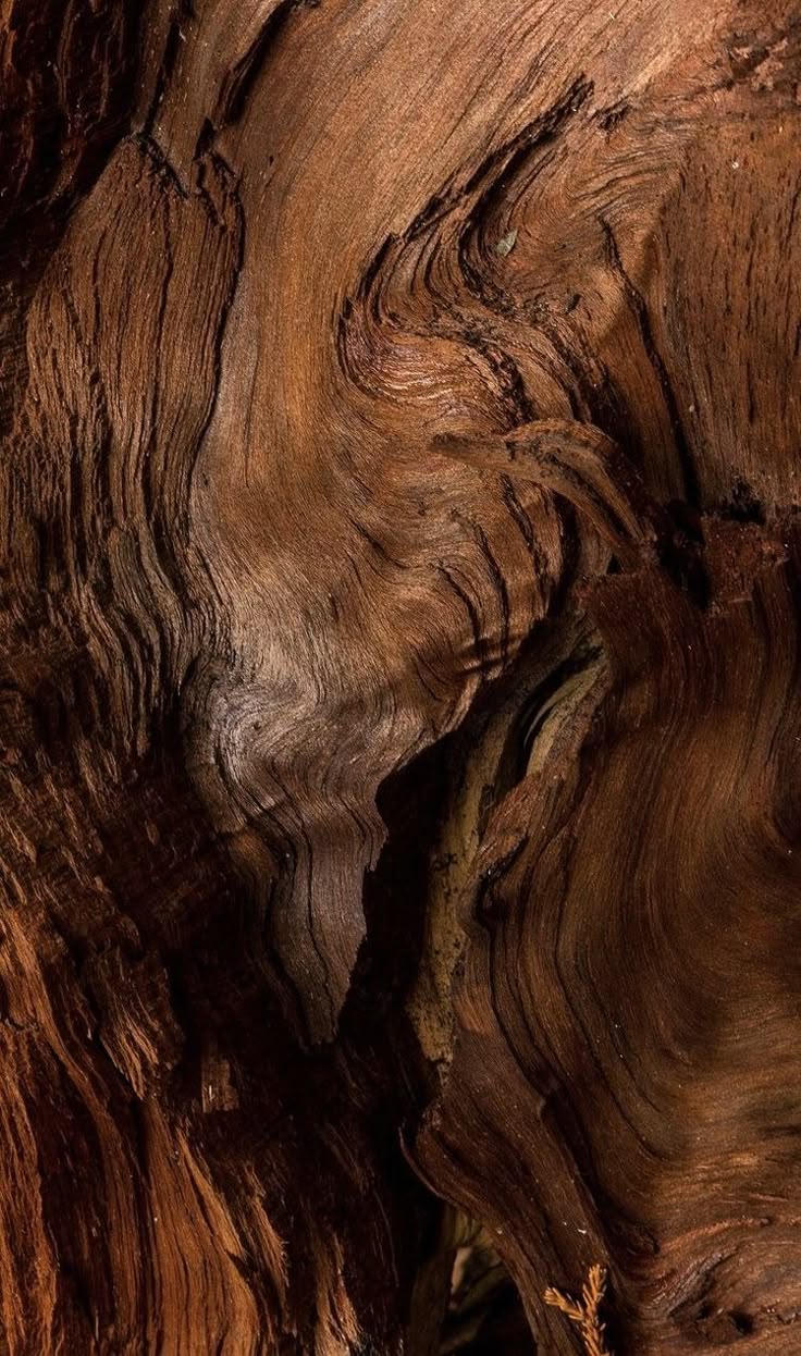 Cedarwood Oil